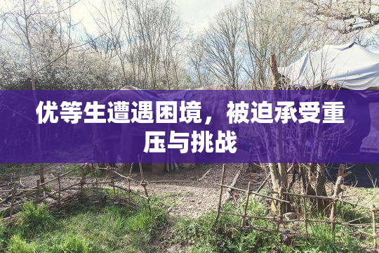 优等生遭遇困境，被迫承受重压与挑战