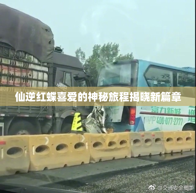 仙逆红蝶喜爱的神秘旅程揭晓新篇章