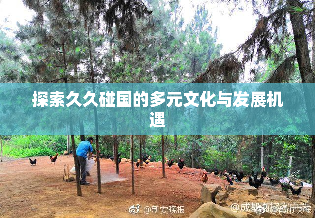 探索久久碰国的多元文化与发展机遇