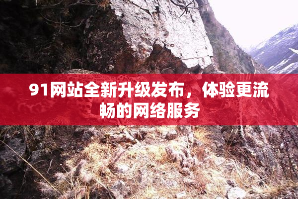 91网站全新升级发布，体验更流畅的网络服务