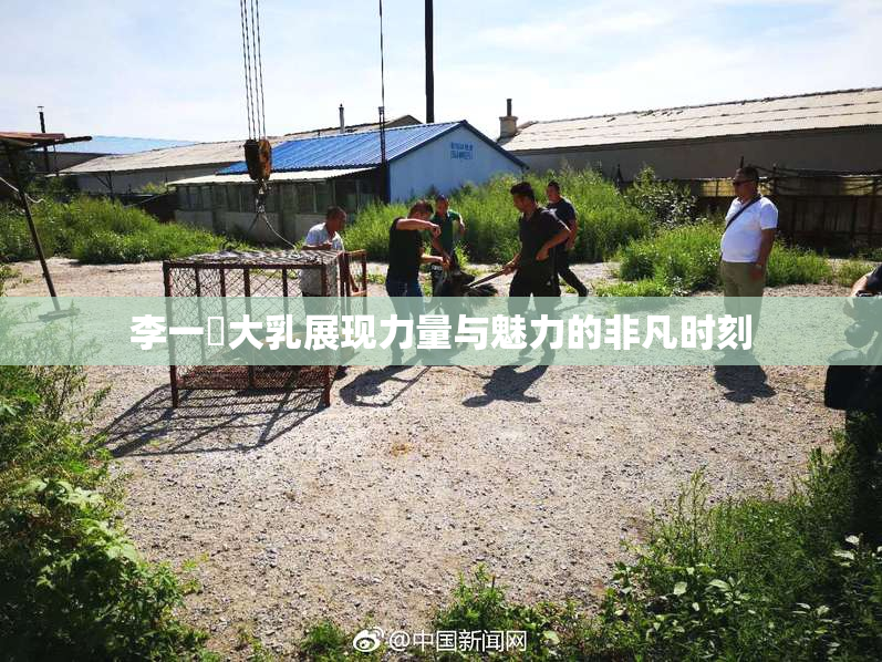 李一挏大乳展现力量与魅力的非凡时刻