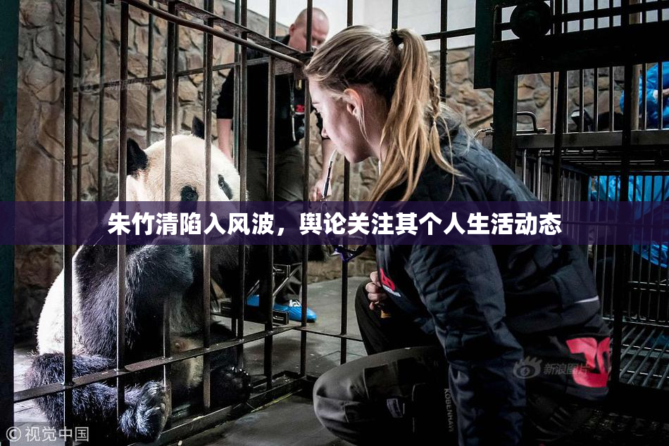 朱竹清陷入风波，舆论关注其个人生活动态