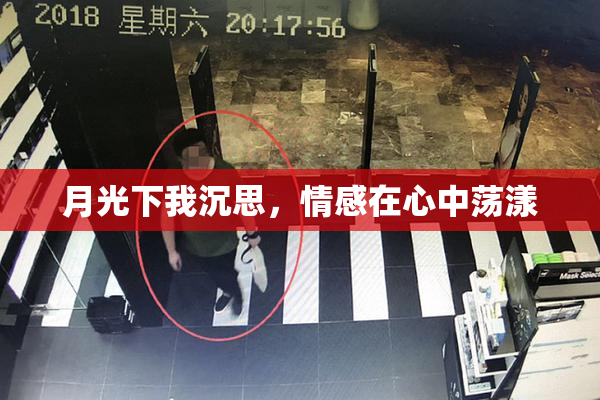月光下我沉思，情感在心中荡漾