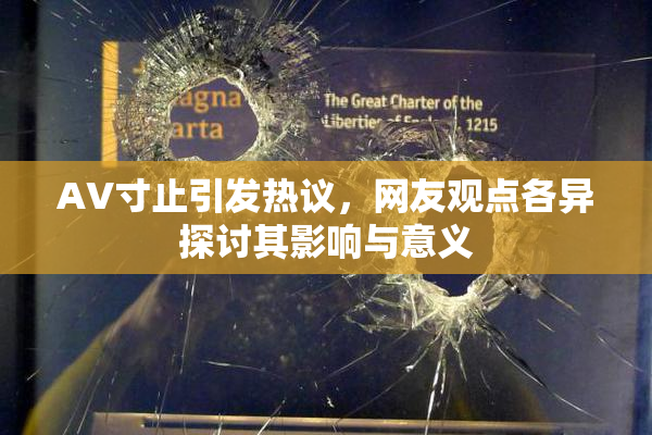 AV寸止引发热议，网友观点各异探讨其影响与意义