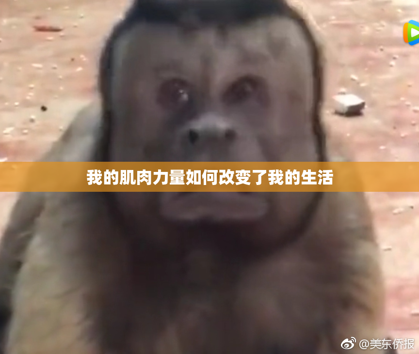 我的肌肉力量如何改变了我的生活