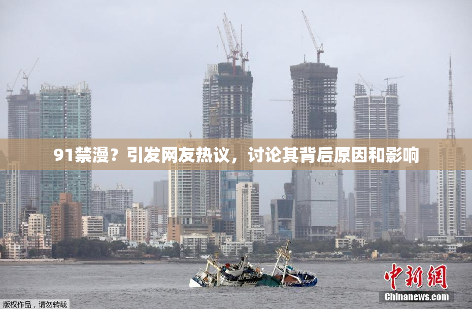 91禁漫？引发网友热议，讨论其背后原因和影响