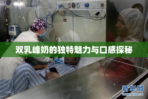 双乳峰奶的独特魅力与口感探秘