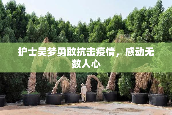 护士吴梦勇敢抗击疫情，感动无数人心