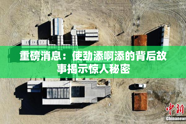 重磅消息：使劲添啊添的背后故事揭示惊人秘密