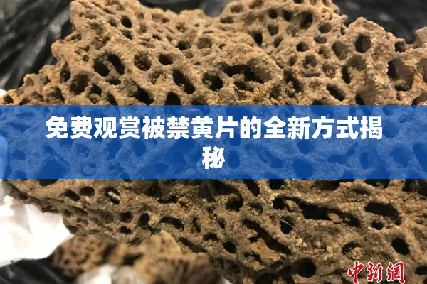 免费观赏被禁黄片的全新方式揭秘