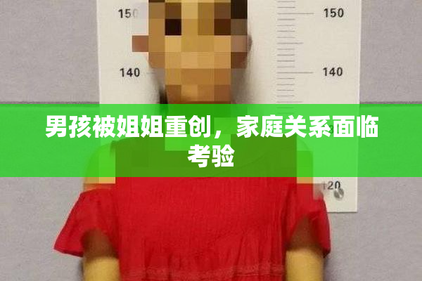 男孩被姐姐重创，家庭关系面临考验