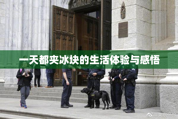 一天都夹冰块的生活体验与感悟