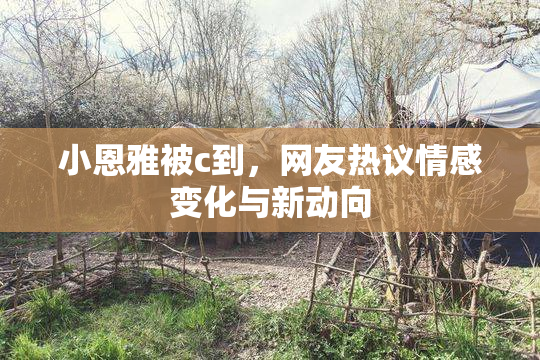 小恩雅被c到，网友热议情感变化与新动向