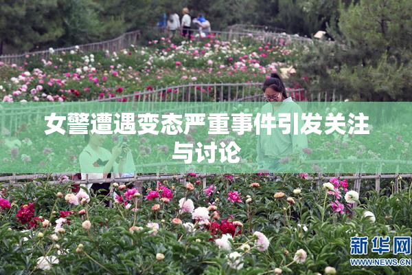 女警遭遇变态严重事件引发关注与讨论