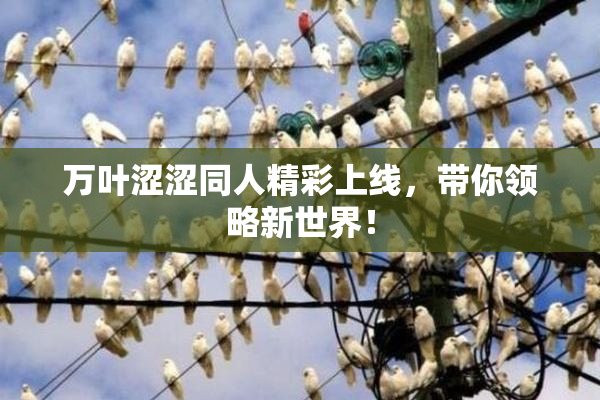 万叶涩涩同人精彩上线，带你领略新世界！