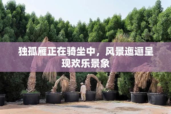 独孤雁正在骑坐中，风景迤逦呈现欢乐景象