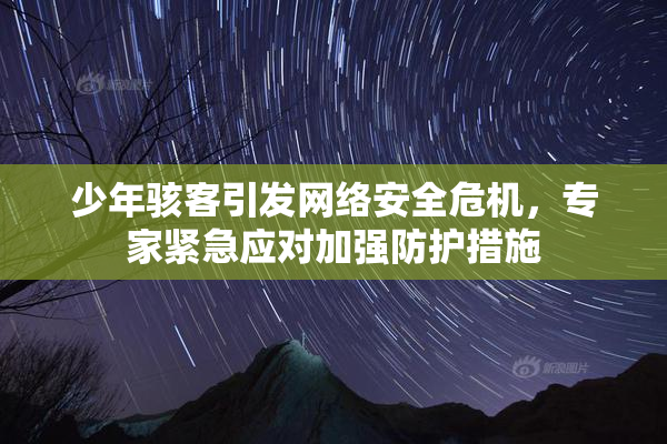 少年骇客引发网络安全危机，专家紧急应对加强防护措施