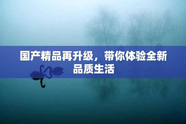 国产精品再升级，带你体验全新品质生活