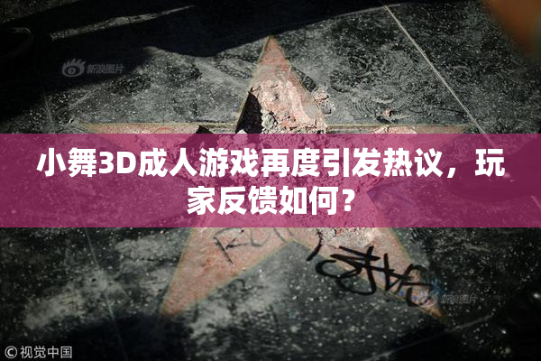 小舞3D成人游戏再度引发热议，玩家反馈如何？