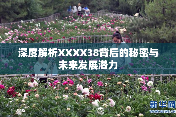 深度解析XXXX38背后的秘密与未来发展潜力