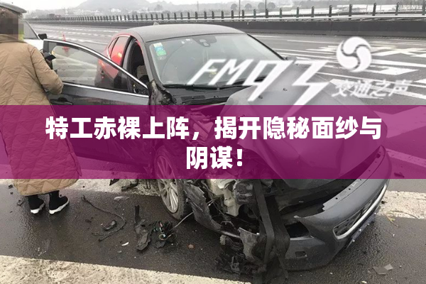 特工赤裸上阵，揭开隐秘面纱与阴谋！
