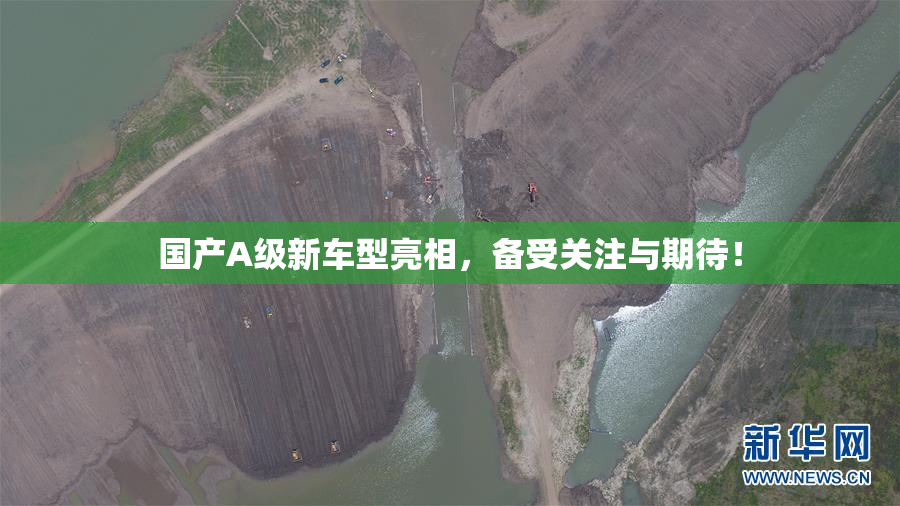 国产A级新车型亮相，备受关注与期待！