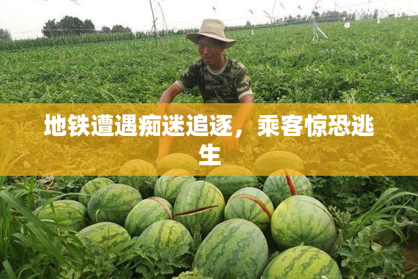 地铁遭遇痴迷追逐，乘客惊恐逃生