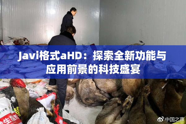 Javi格式aHD：探索全新功能与应用前景的科技盛宴
