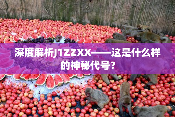 深度解析J1ZZXX——这是什么样的神秘代号？