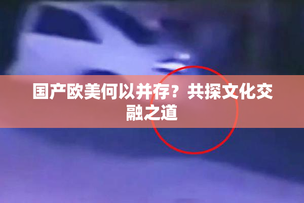 国产欧美何以并存？共探文化交融之道