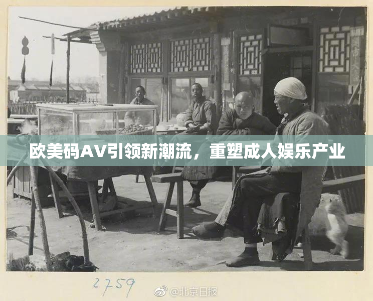 欧美码AV引领新潮流，重塑成人娱乐产业