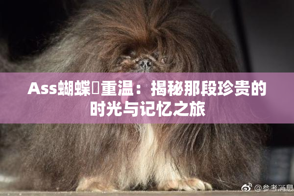 Ass蝴蝶泬重温：揭秘那段珍贵的时光与记忆之旅