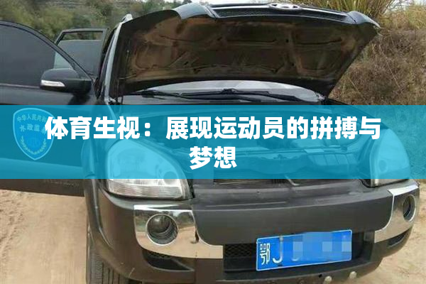 体育生视：展现运动员的拼搏与梦想