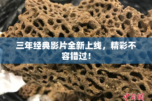 三年经典影片全新上线，精彩不容错过！