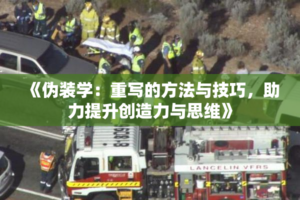 《伪装学：重写的方法与技巧，助力提升创造力与思维》
