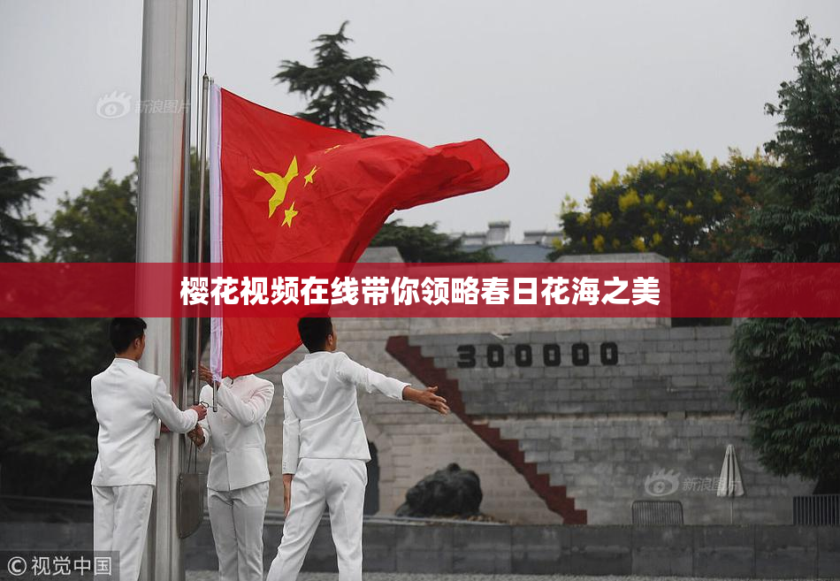 樱花视频在线带你领略春日花海之美