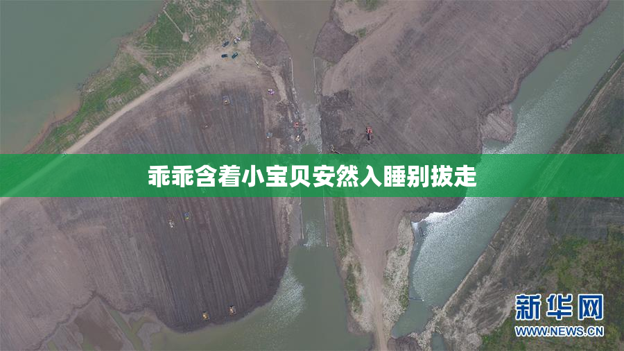乖乖含着小宝贝安然入睡别拔走