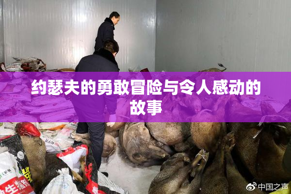 约瑟夫的勇敢冒险与令人感动的故事