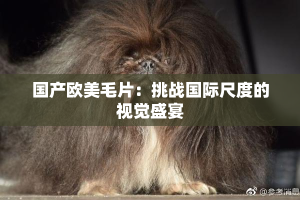 国产欧美毛片：挑战国际尺度的视觉盛宴