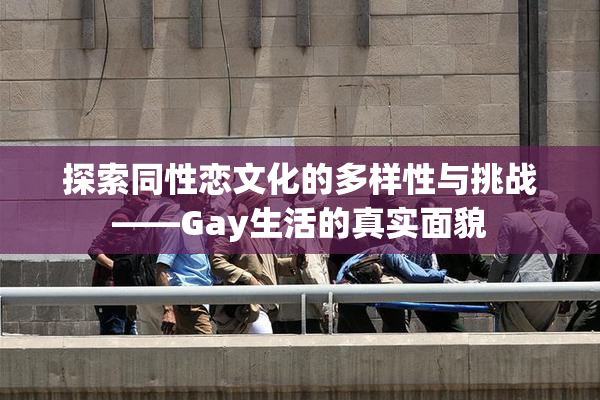 探索同性恋文化的多样性与挑战——Gay生活的真实面貌