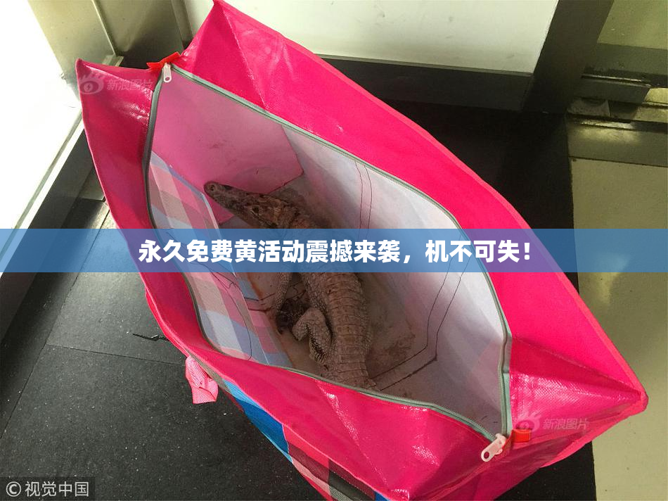 永久免费黄活动震撼来袭，机不可失！