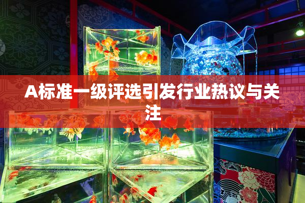 A标准一级评选引发行业热议与关注