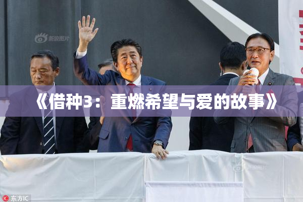 《借种3：重燃希望与爱的故事》