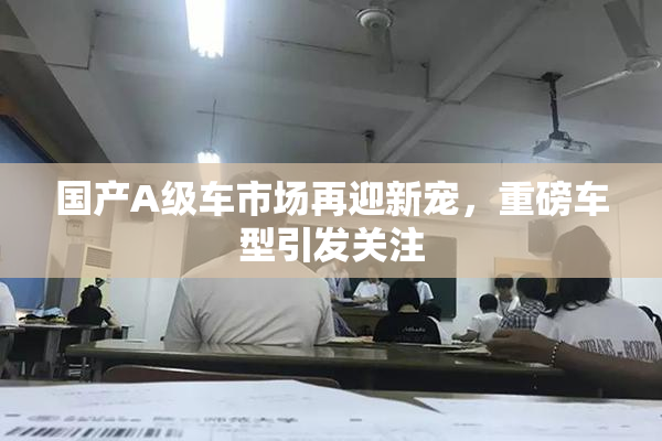 国产A级车市场再迎新宠，重磅车型引发关注