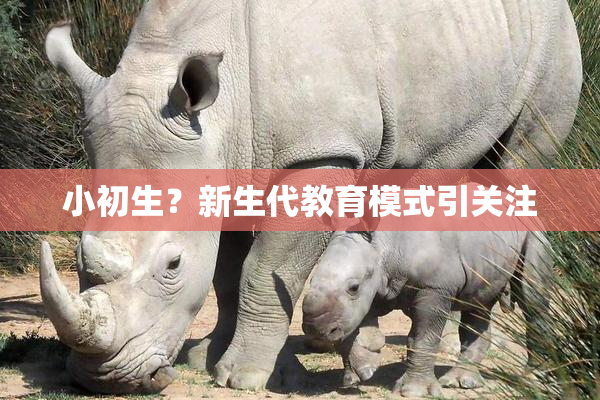 小初生？新生代教育模式引关注
