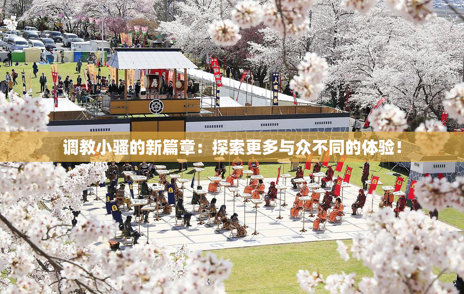 调教小骚的新篇章：探索更多与众不同的体验！