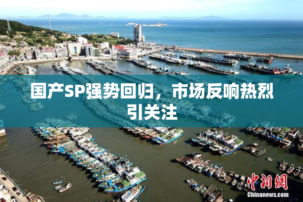 国产SP强势回归，市场反响热烈引关注