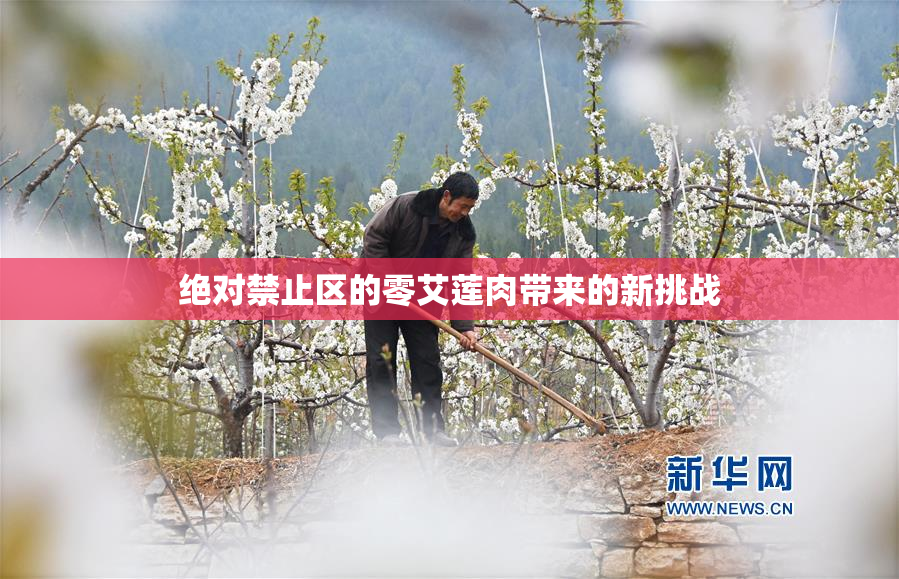 绝对禁止区的零艾莲肉带来的新挑战