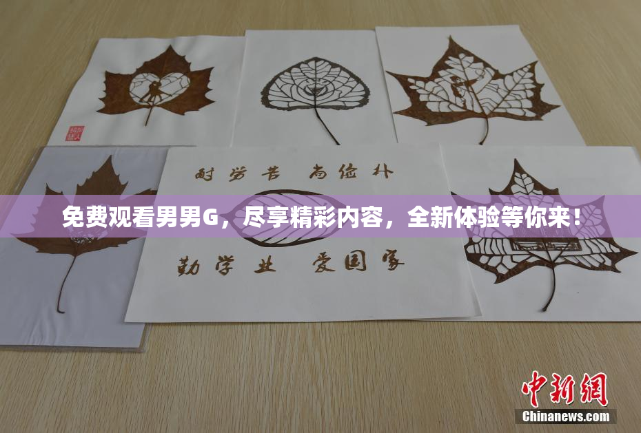 免费观看男男G，尽享精彩内容，全新体验等你来！