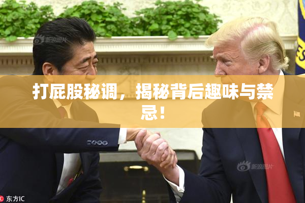 打屁股秘调，揭秘背后趣味与禁忌！
